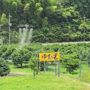 自然を守るのではなく、使い続ける