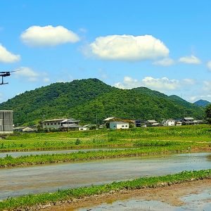 最初の第１歩「直播」